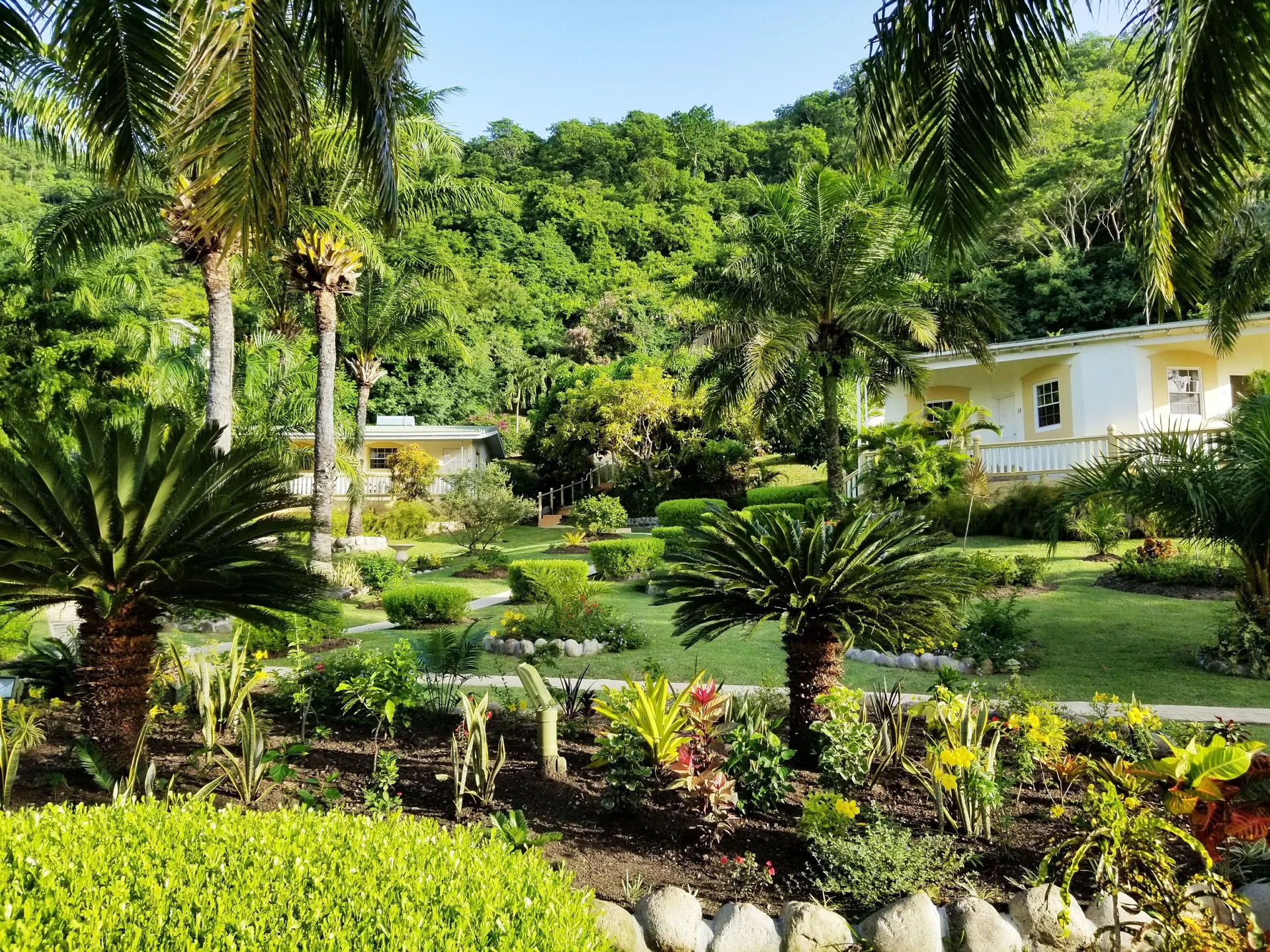 Blue Horizons Garden Resort Grenada garden hotel with relaxed suites and Grand Anse access