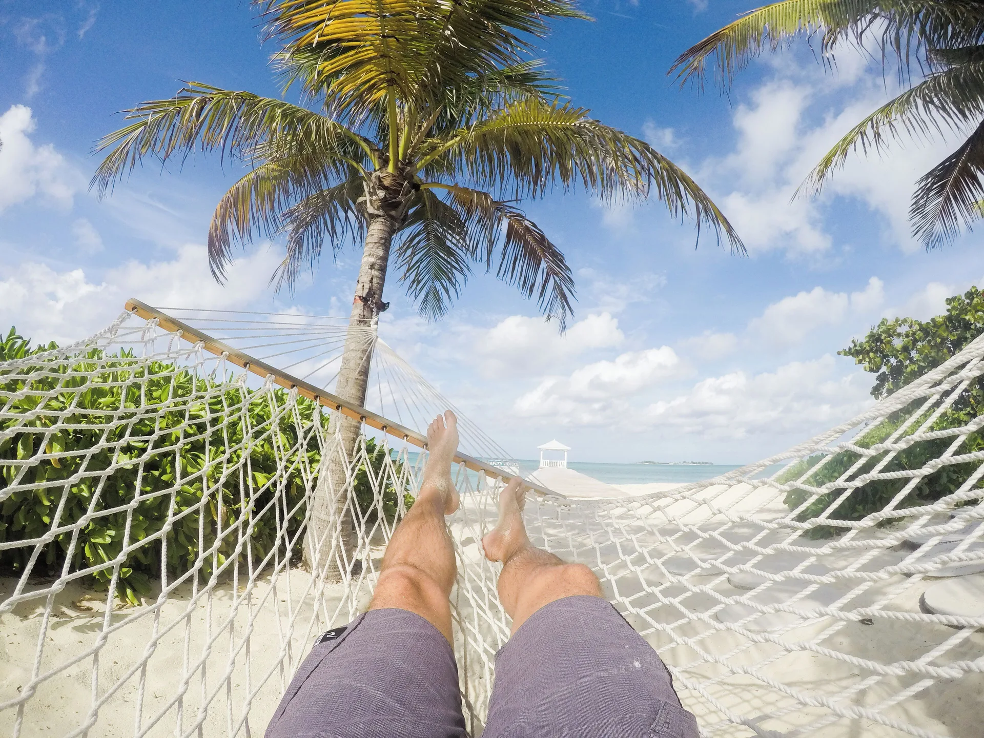 A beach hammock beneath palm trees at Sandyport Beach Resort.