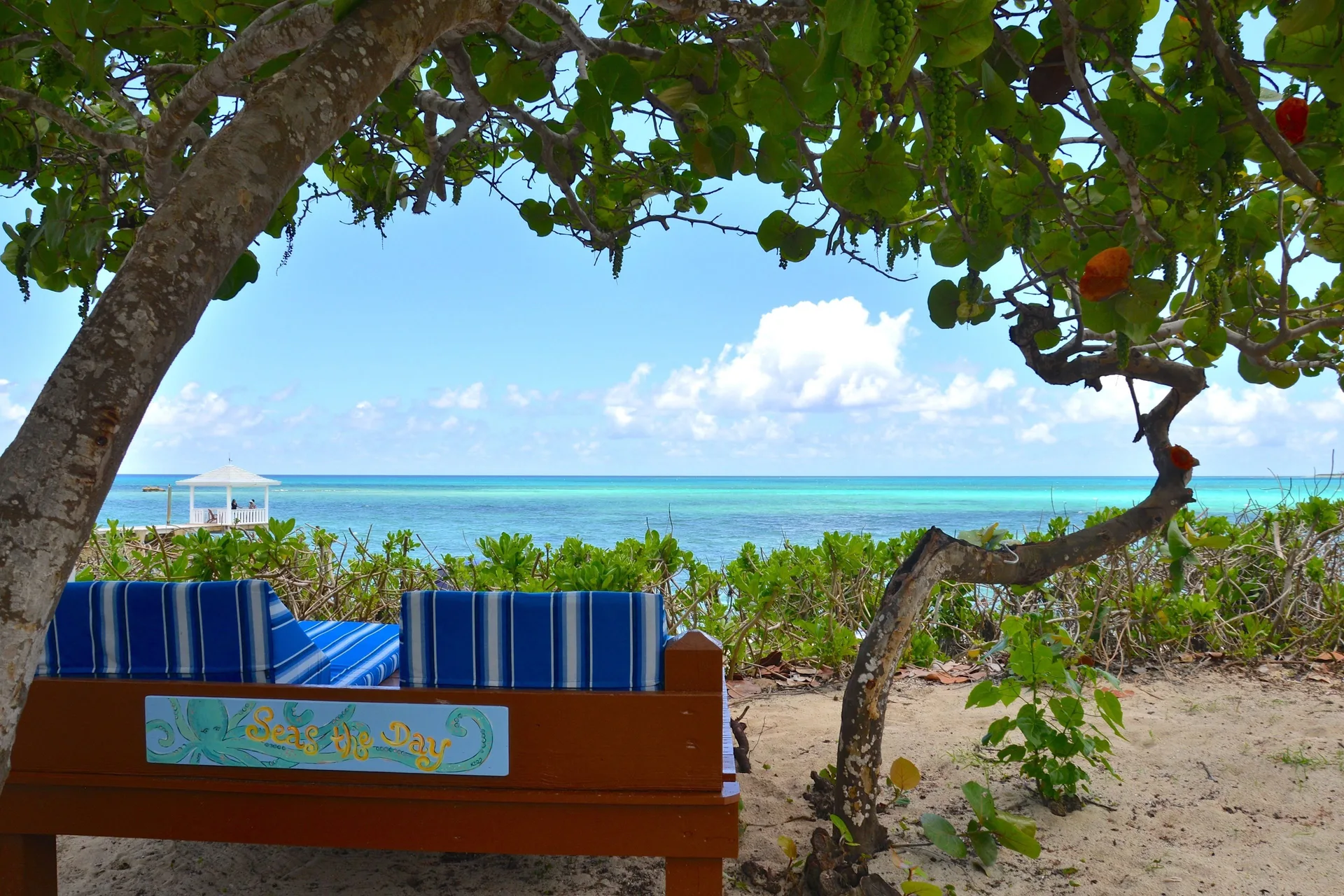 Bench with blue cushions facing turquoise water at Sandyport Beach Resort.