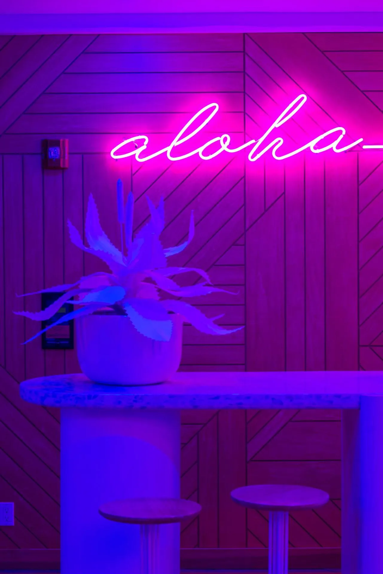 Pink aloha neon sign and potted plant in the lobby at Shoreline Hotel Waikiki.