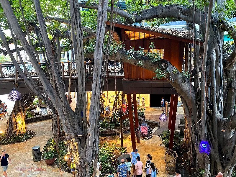 International Market Place near Shoreline Hotel Waikiki