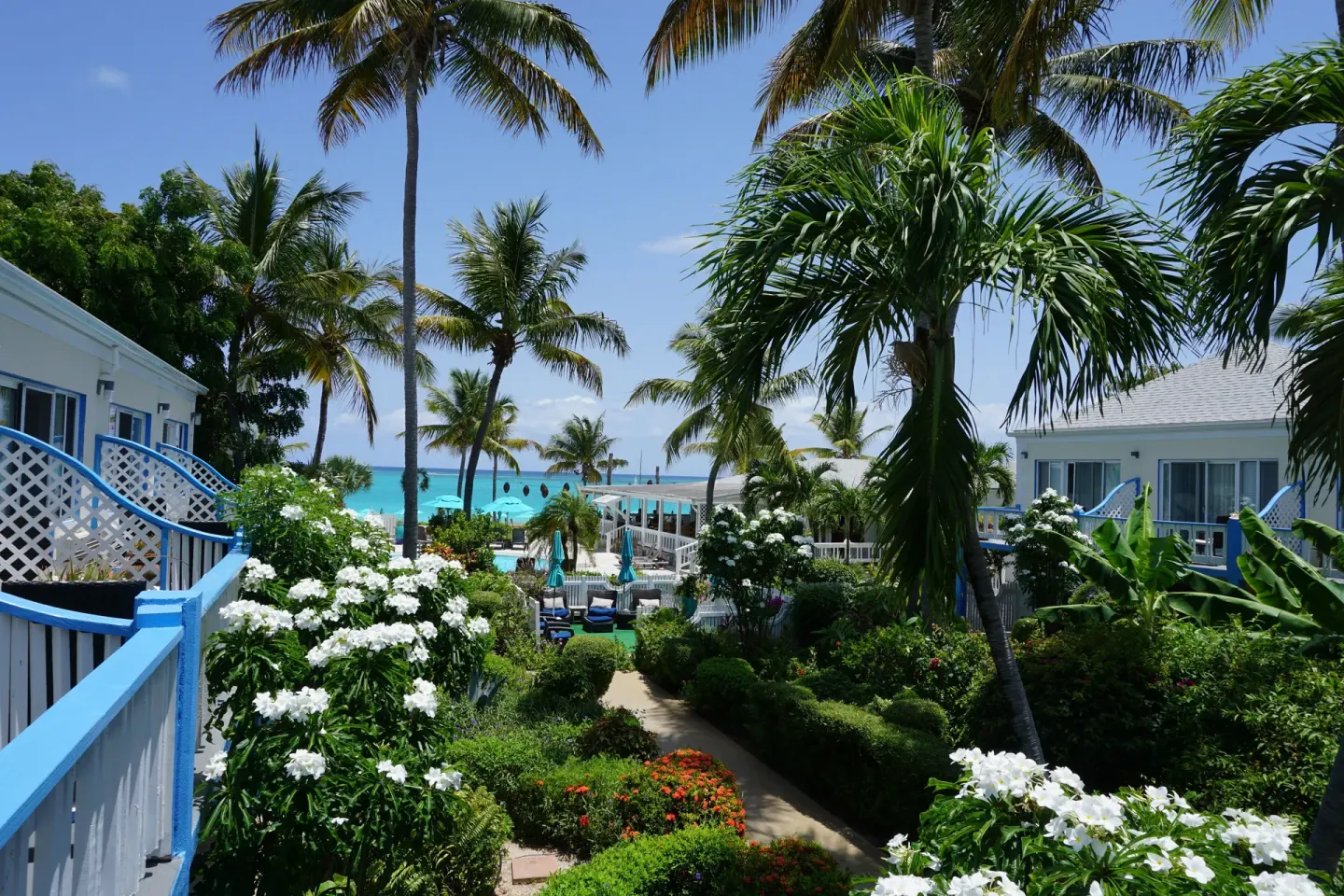 Balcony view of gardens, palms and ocean between buildings at Sibonné Beach Hotel.