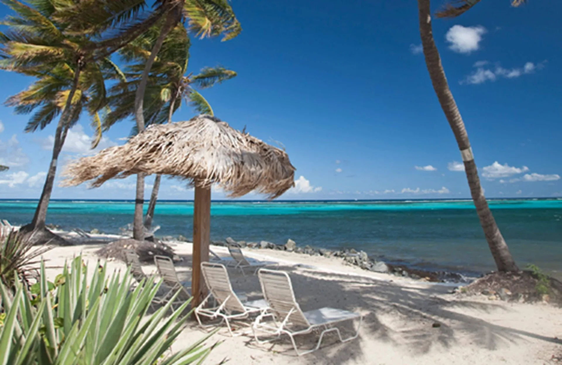 Colony Cove Beach Resort by Antilles Resorts St. Croix condominium resort with beach access and tropical grounds