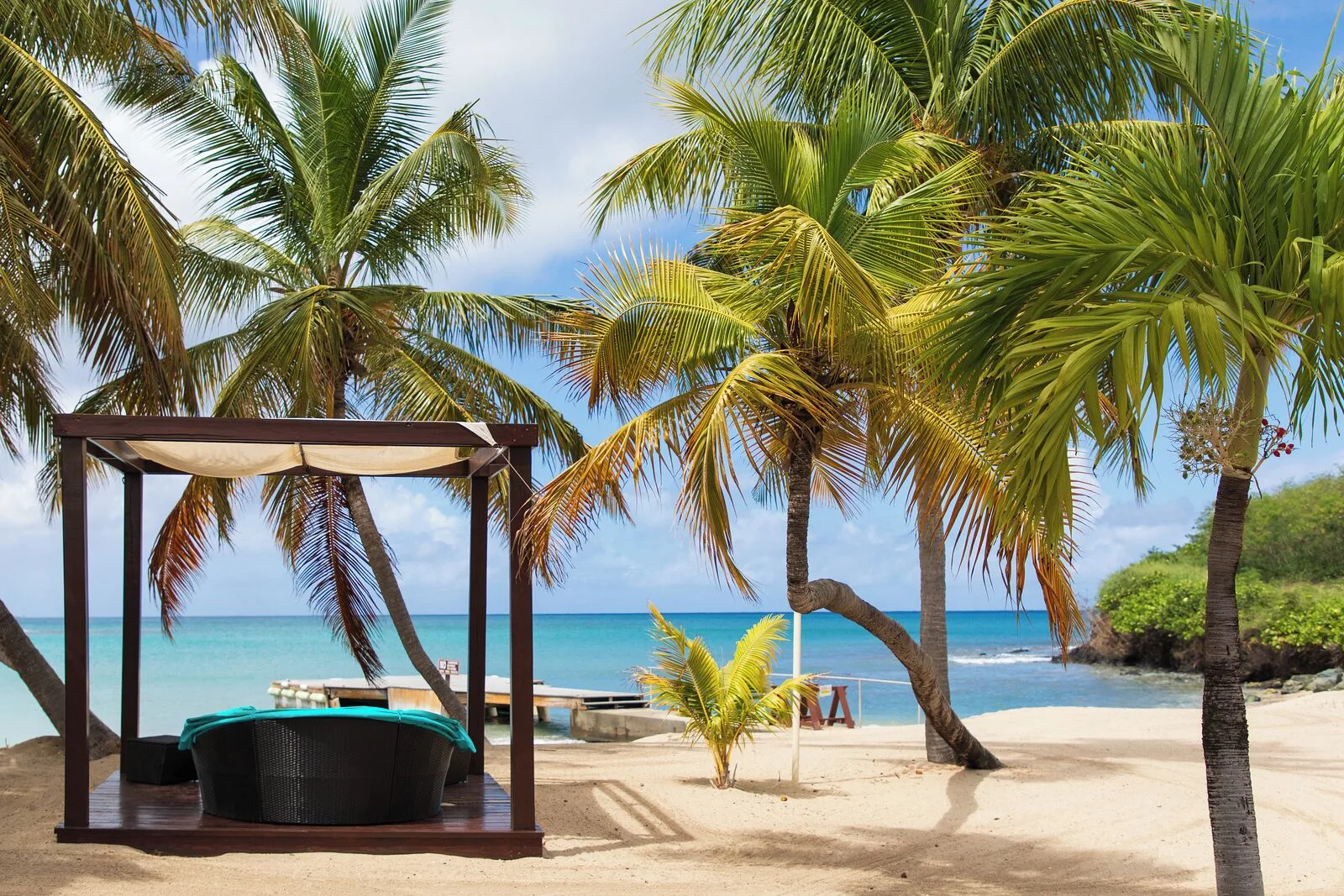 Beach daybed beneath palms by the water at The Buccaneer Beach & Golf Resort.