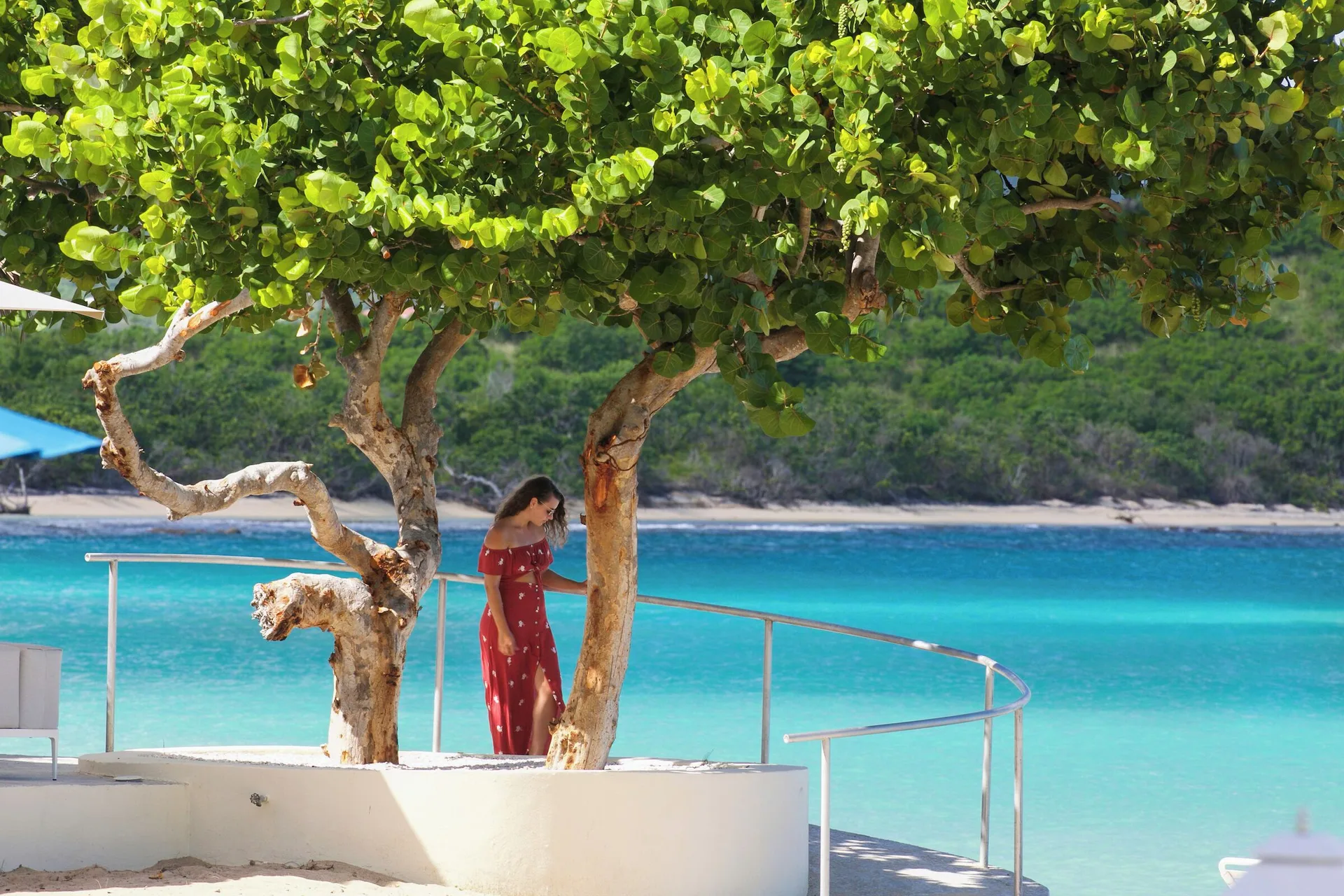 Woman under seaside trees by turquoise water at The Buccaneer Beach & Golf Resort.