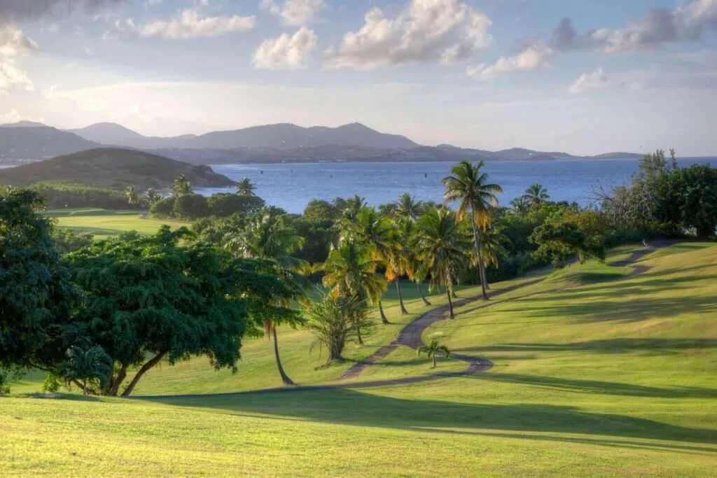 Ocean, palms, and golf-course grounds at The Buccaneer Beach & Golf Resort.