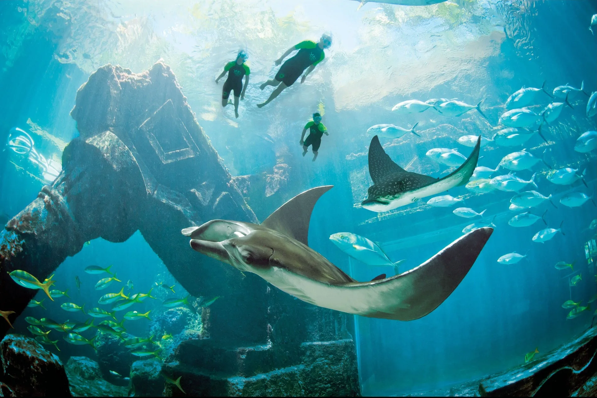 Snorkelers swim above rays, fish, and ruins in an aquarium at The Coral at Atlantis.