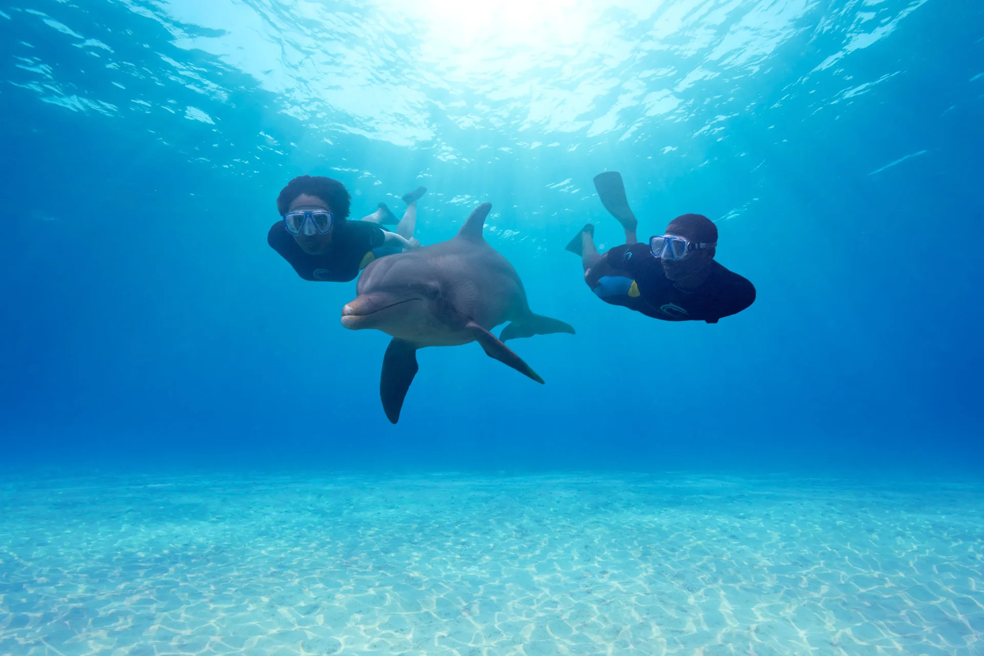 Two snorkelers swim beside a dolphin in clear blue water at The Coral at Atlantis.