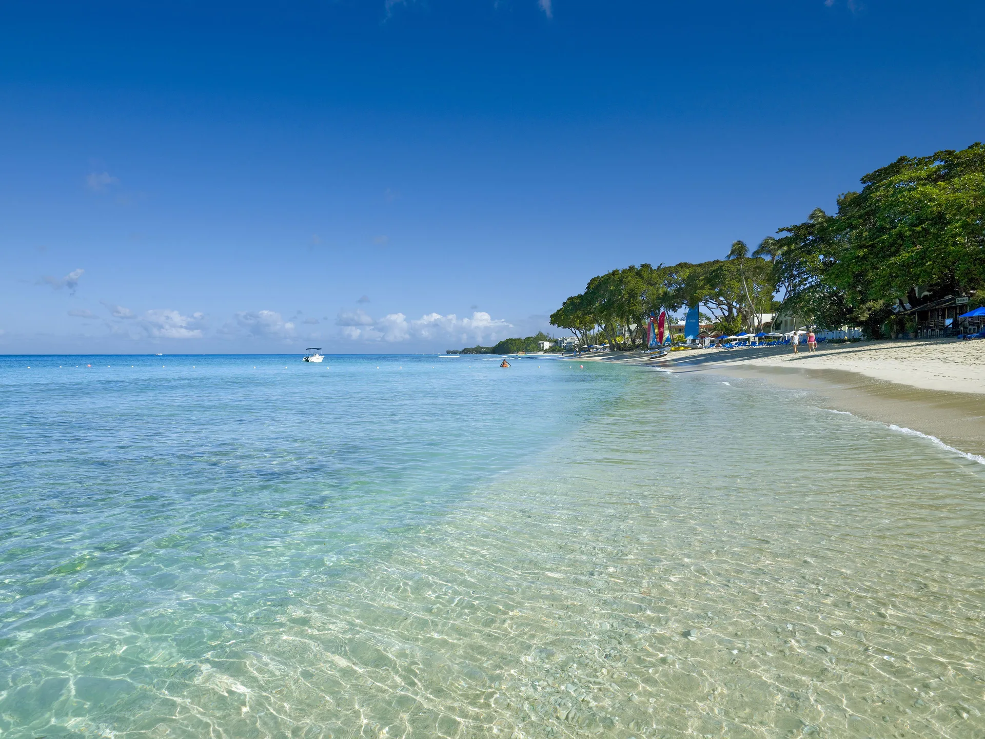 Clear shallow water and a tree-lined sandy beach near The House.