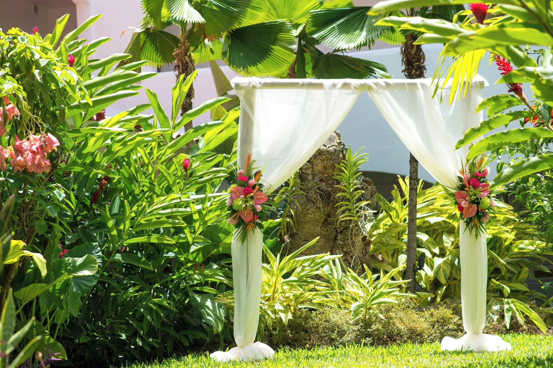 White wedding arch with tropical flowers in a garden at The House.