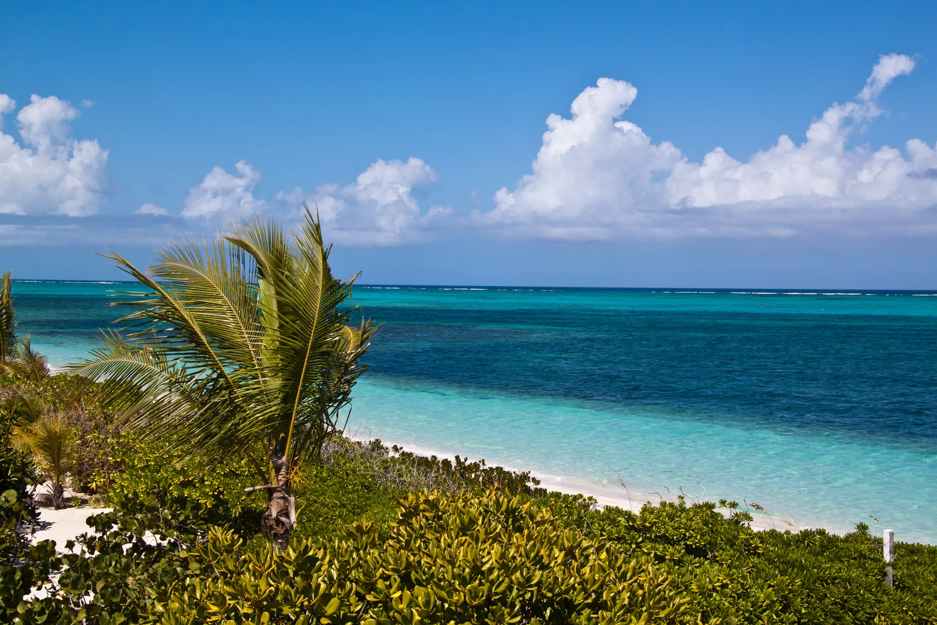 Lucayan Archipelago near The Somerset on Grace Bay