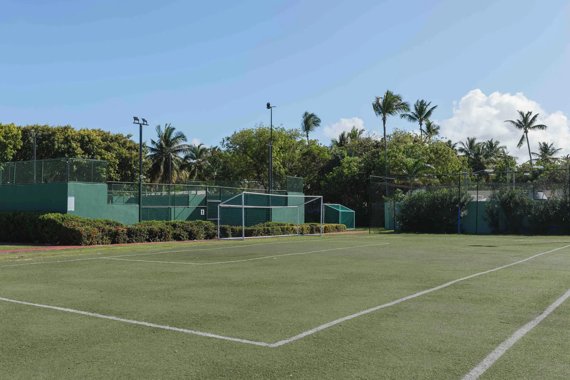 Artificial-turf sports field with fenced courts and palm trees at TRS Turquesa Hotel.