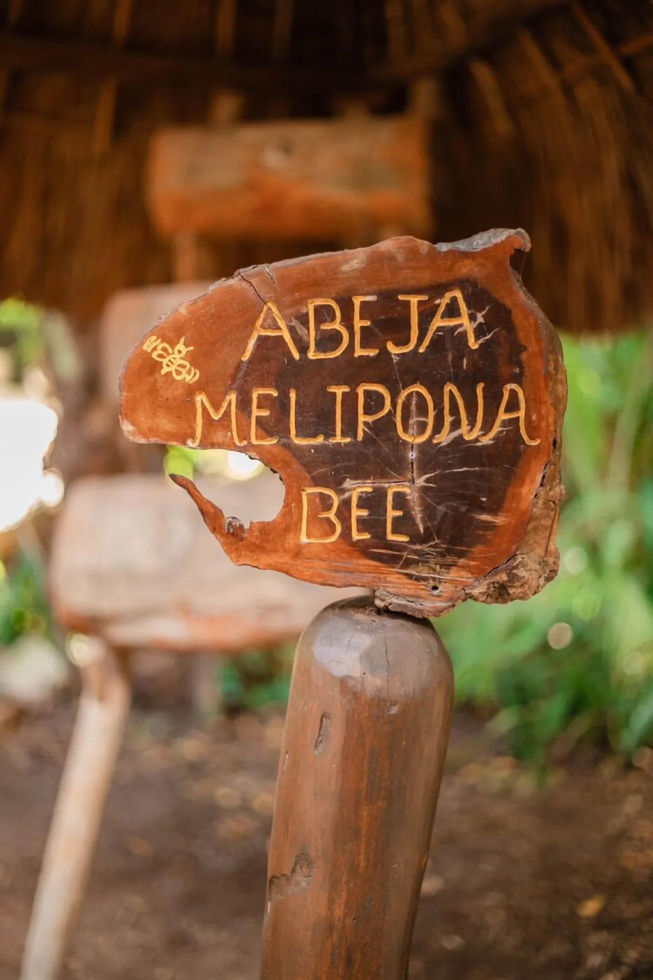 Wooden Abeja Melipona Bee sign in a thatched area at Viceroy Riviera Maya.