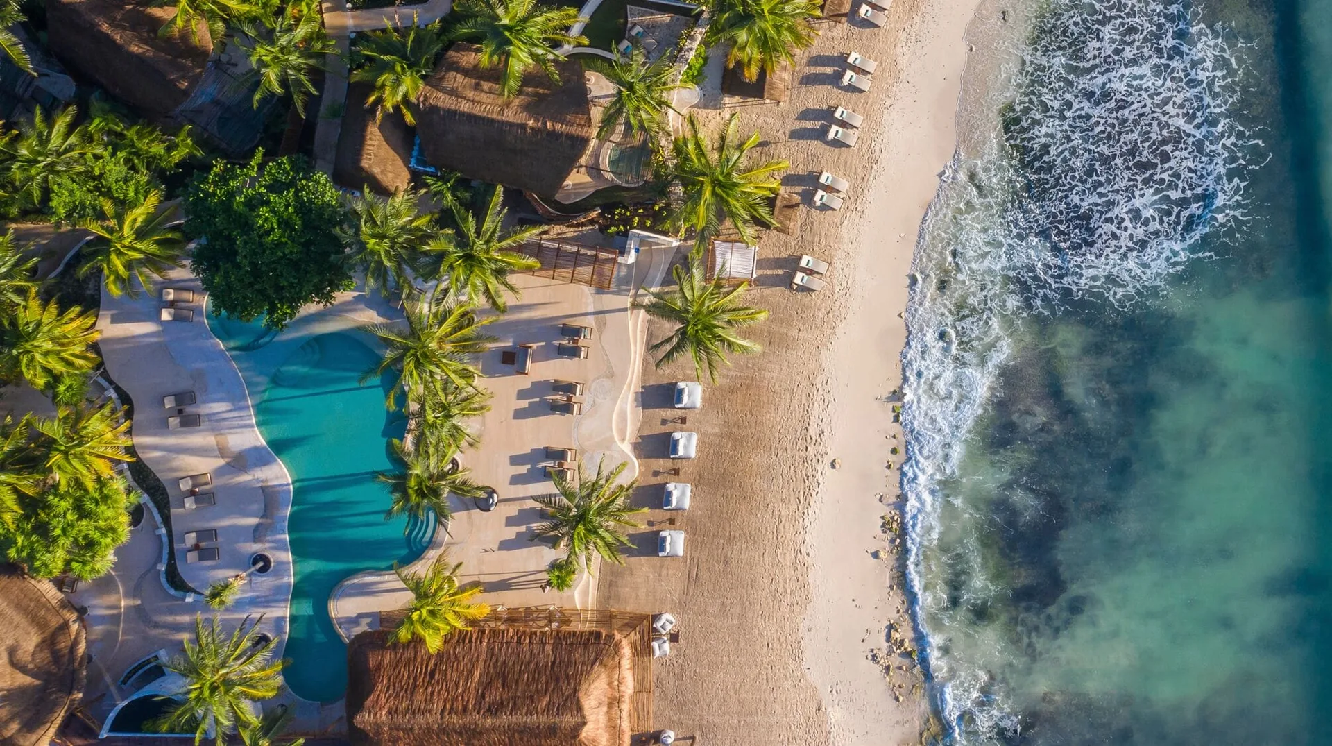 Aerial view of the pool, palms, beach, and turquoise water at Viceroy Riviera Maya.