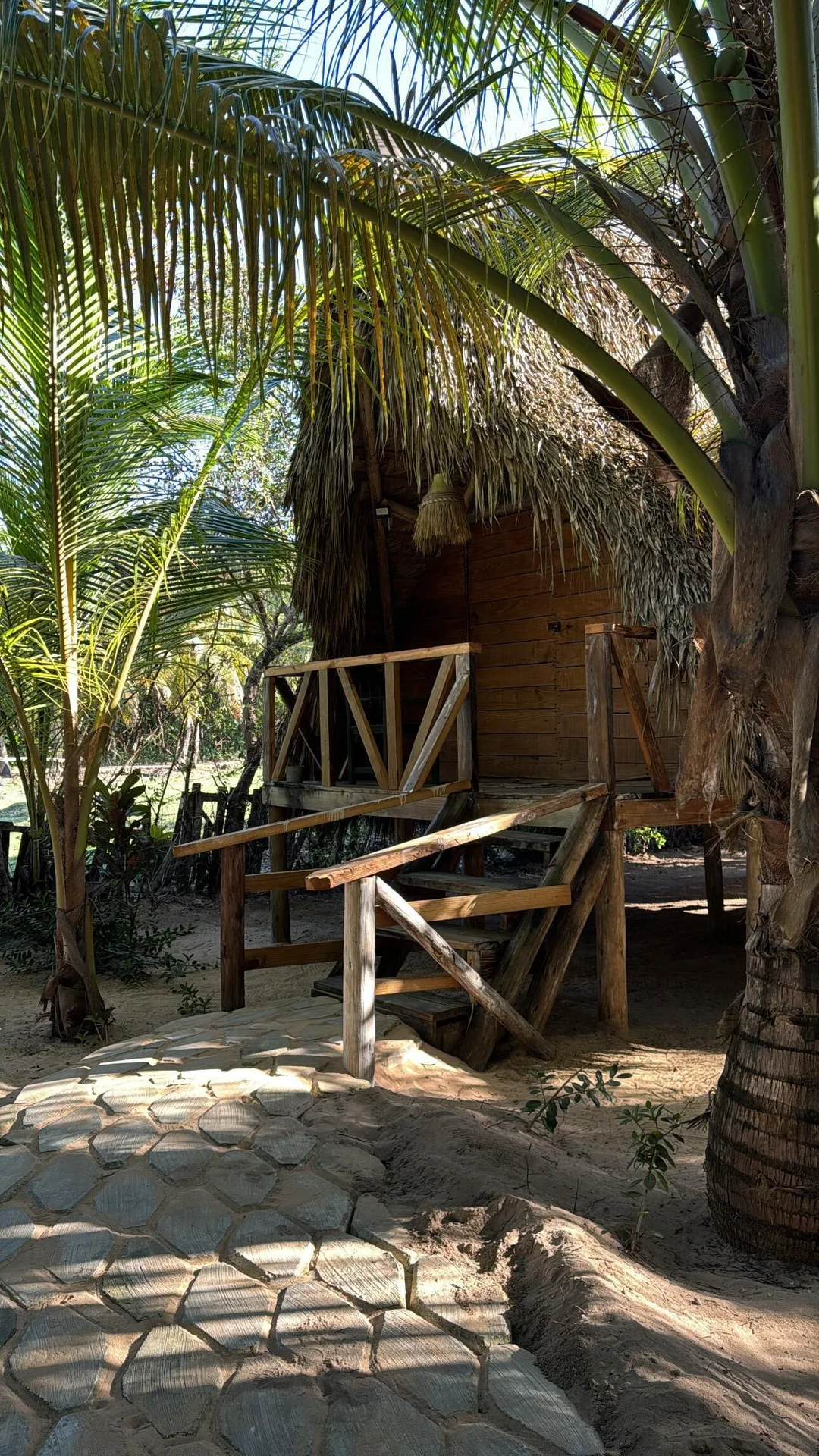 Punta Cana Ecolodge nature-focused eco lodging with rustic design and tropical surroundings