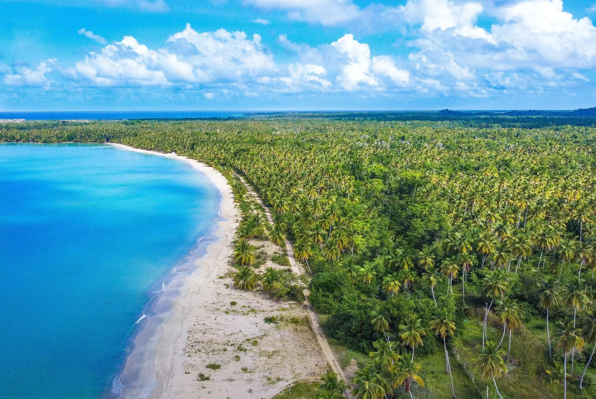 Aerial view of turquoise shoreline and palm forest near Viva Miches.
