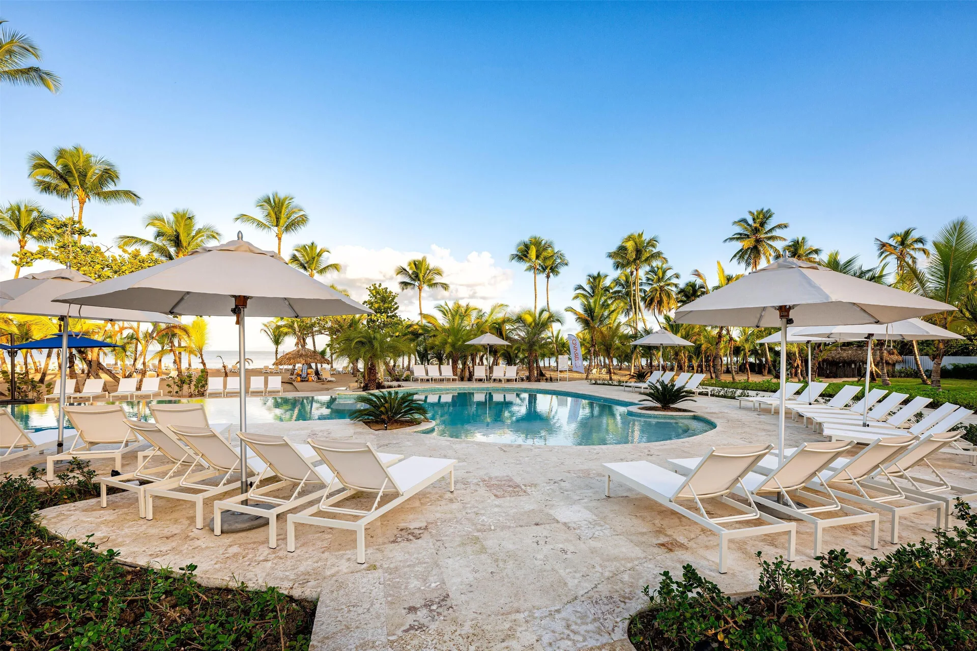White loungers and umbrellas surround a palm-framed pool at Viva Miches.