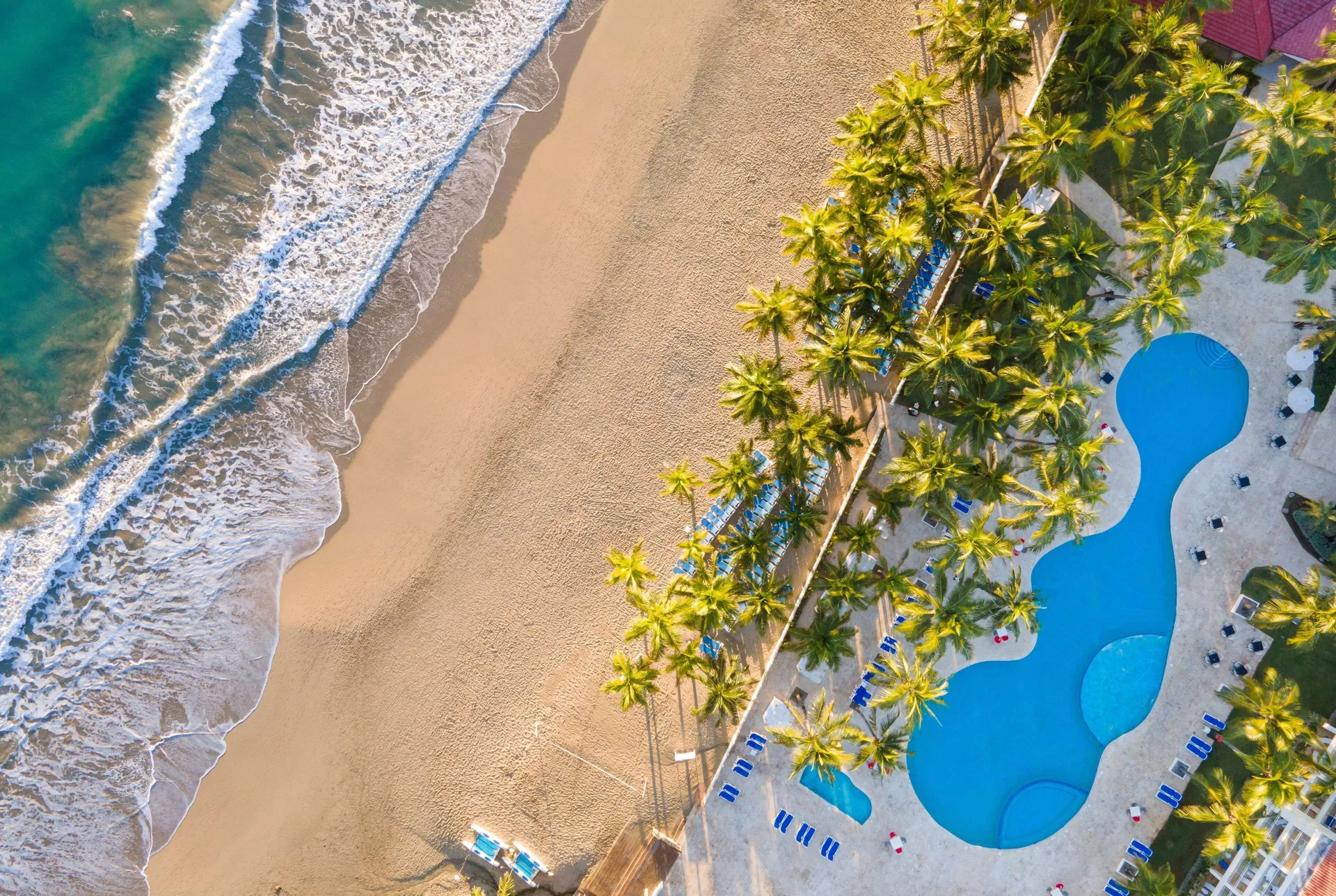 Top-down view of beach, palms, and pool at Viva Tangerine.
