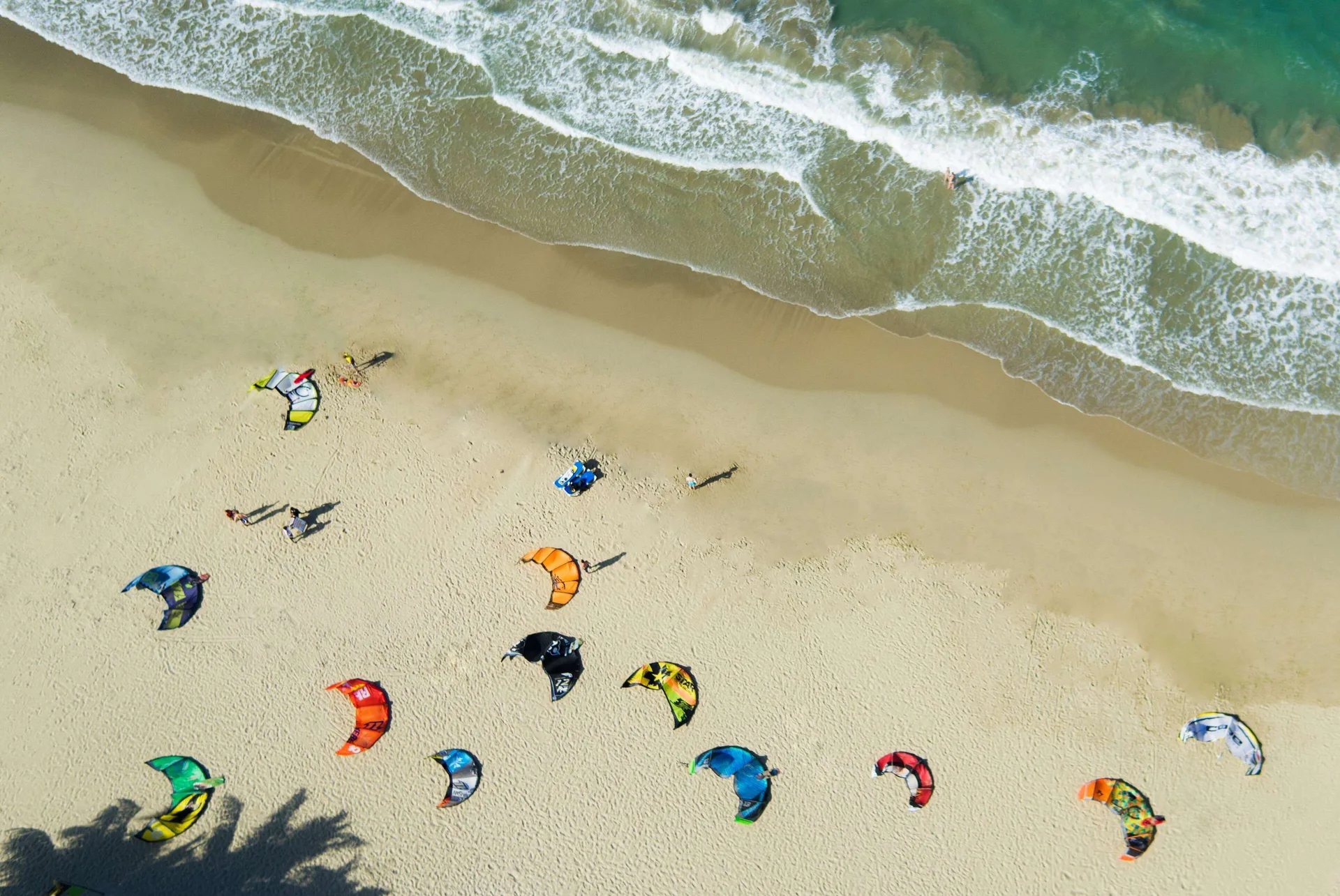Kitesurfing kites line the sandy beach and surf at Viva Tangerine.
