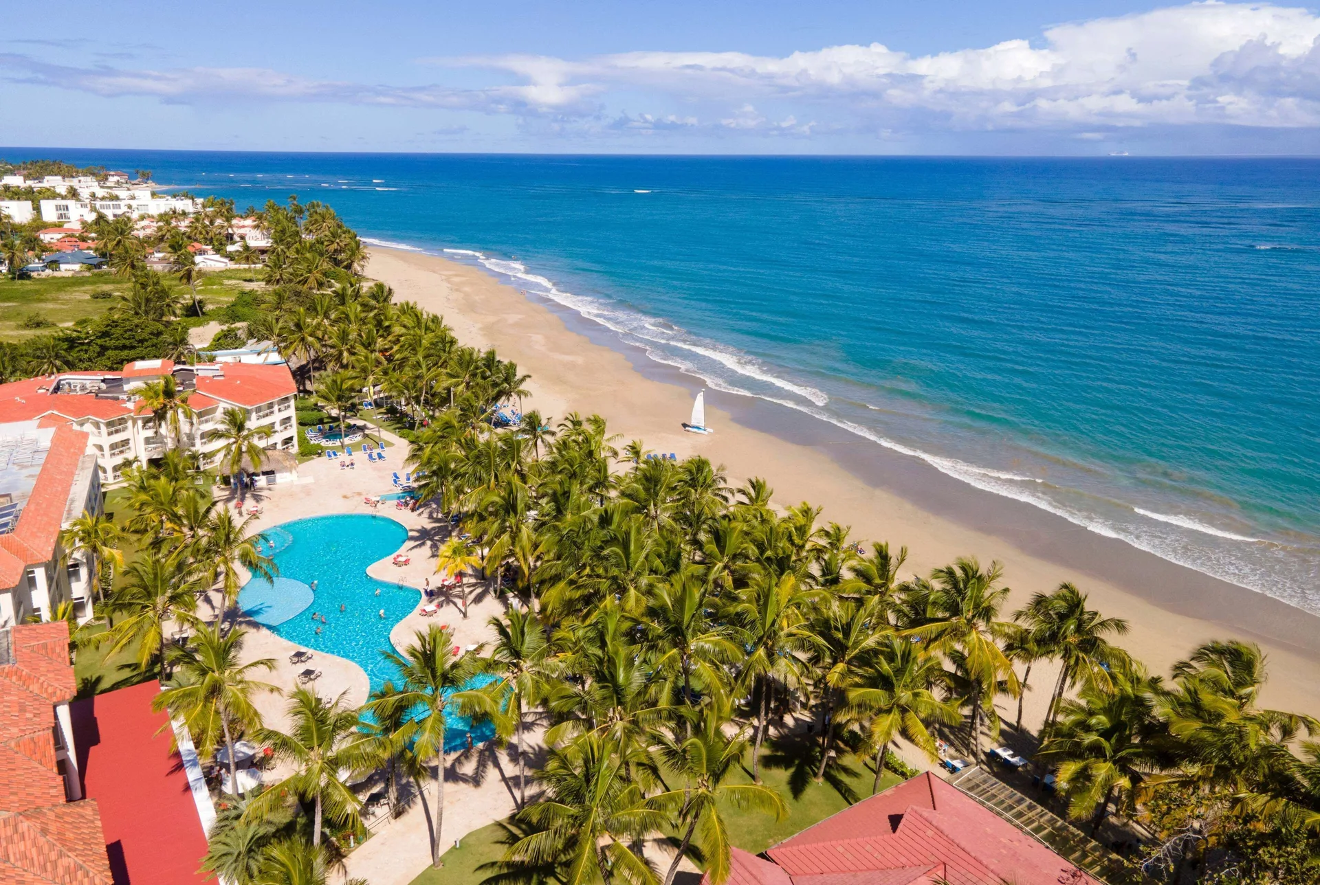 Aerial view of the pool, palms, beach, and ocean at Viva Tangerine.