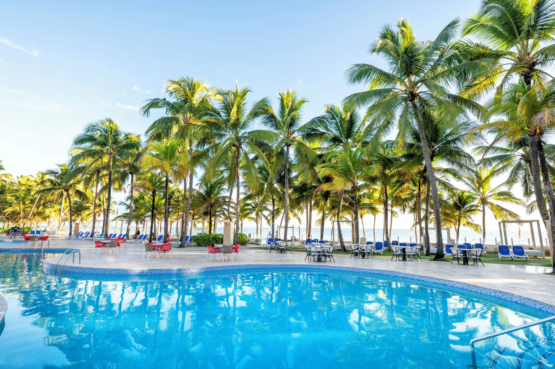 Curved pool with palm trees and ocean beyond at Viva Tangerine.