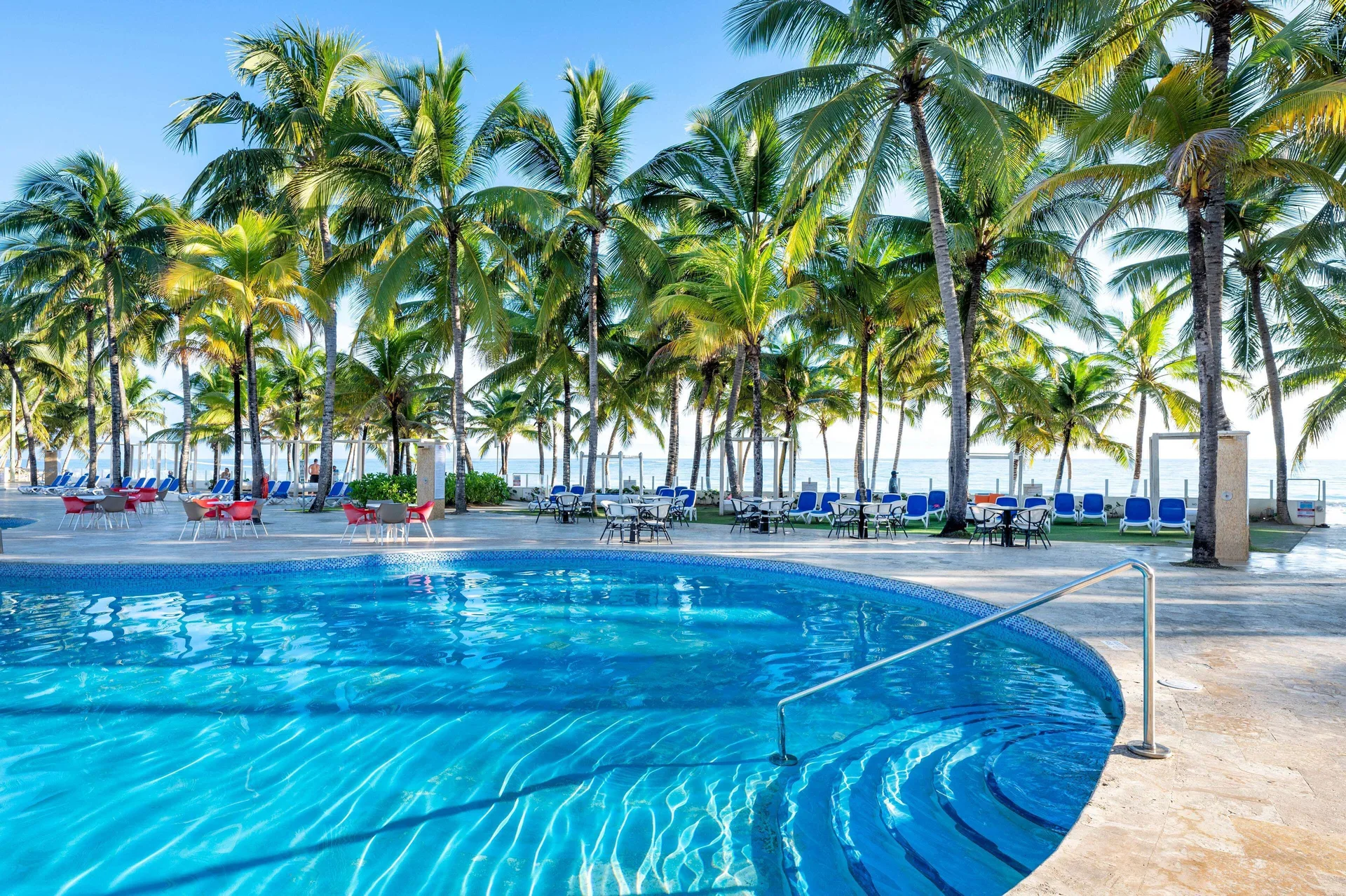 Pool edge, steps, palm trees, and lounge seating at Viva Tangerine.
