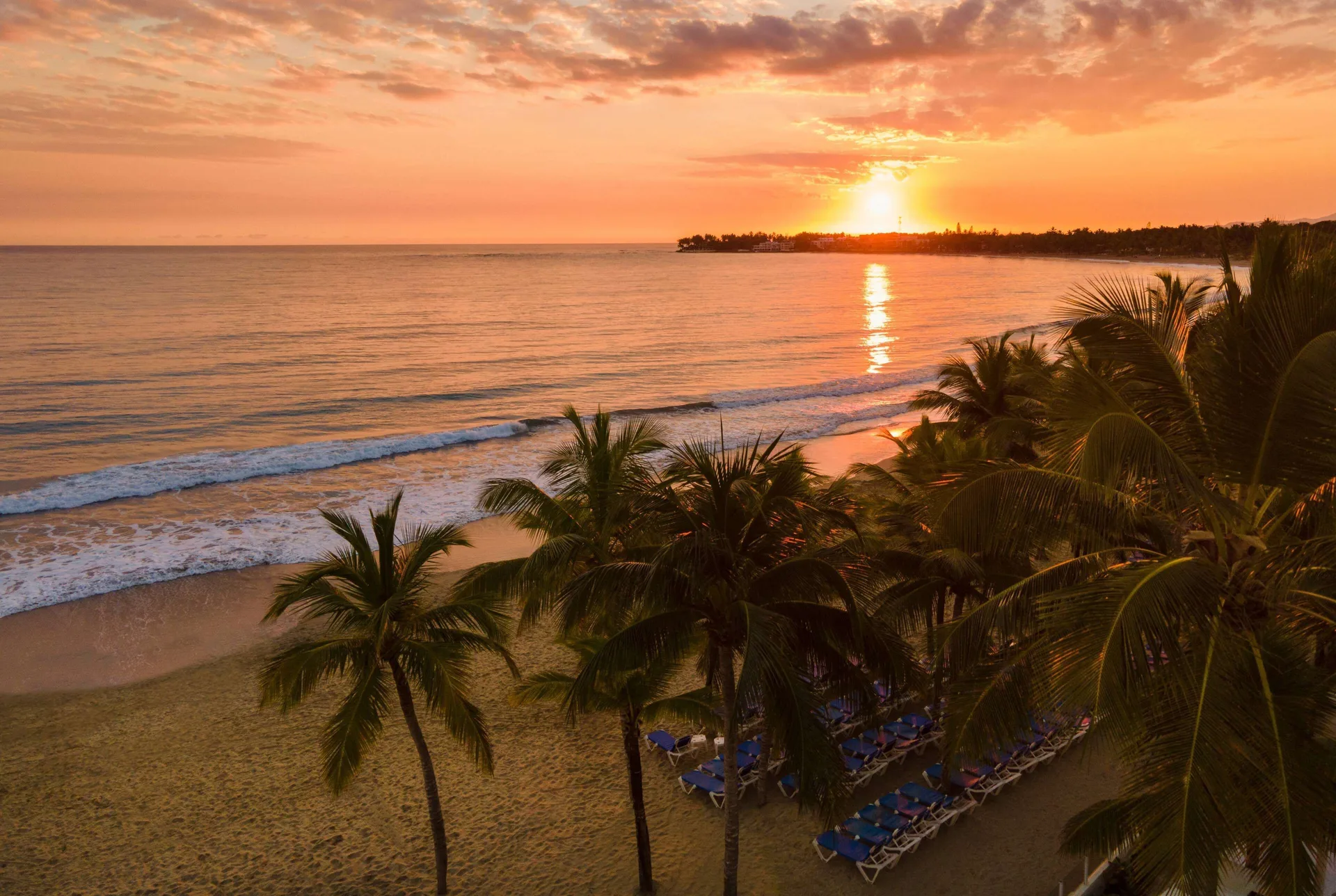 Sunset over the ocean and palm-lined beach at Viva Tangerine.