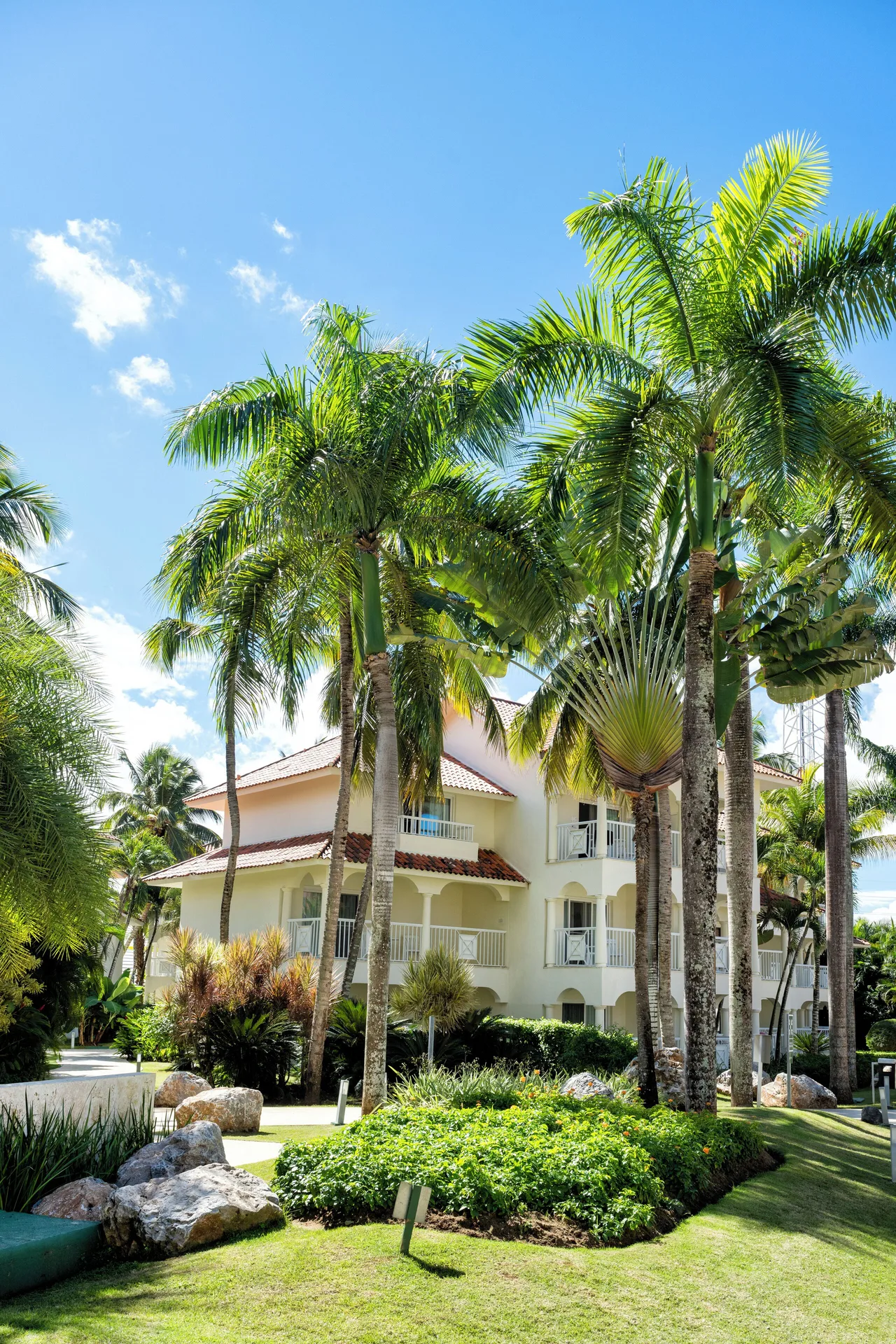 Superior Garden building framed by palms and landscaped grounds at Viva Tangerine.
